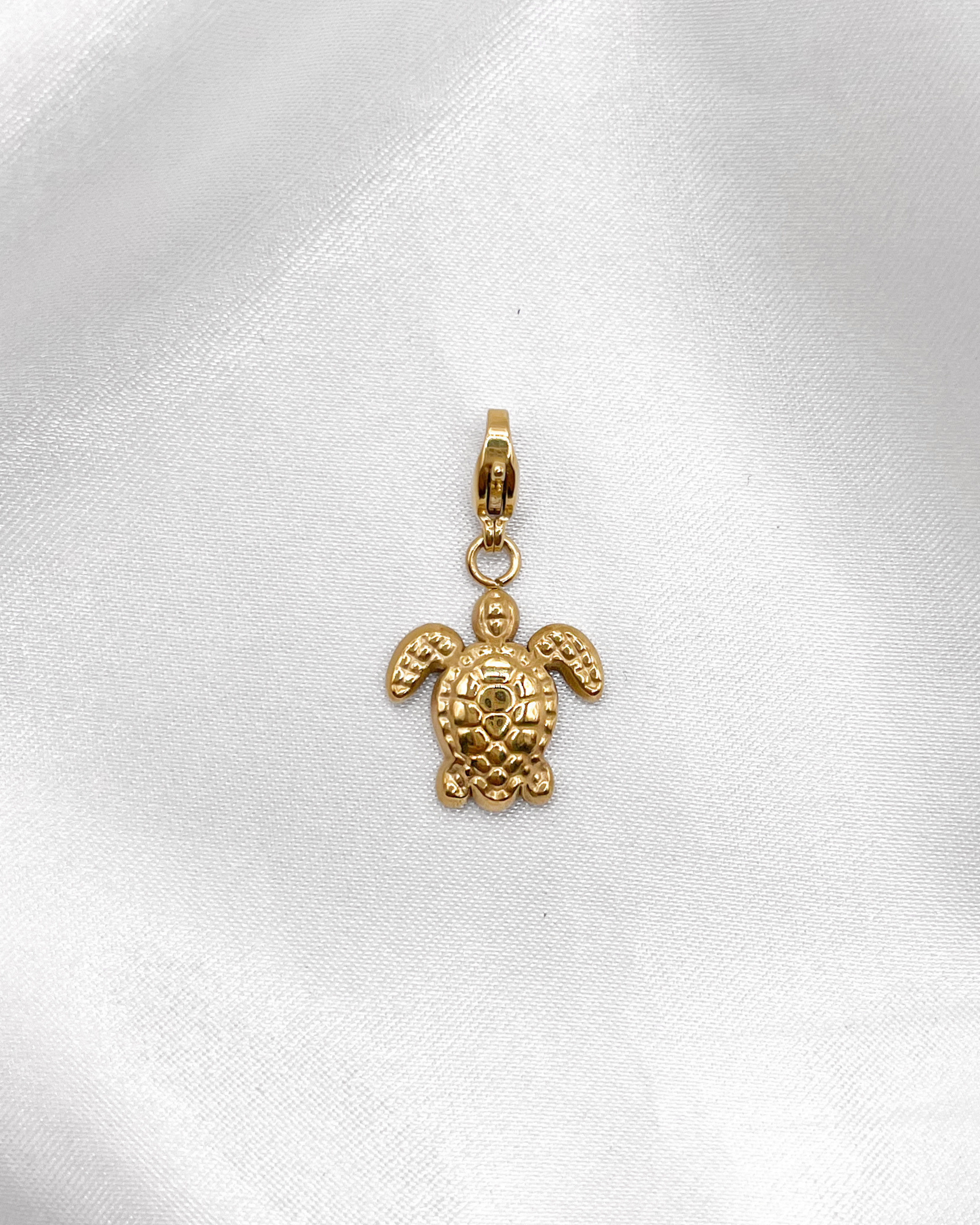 Charm Turtle