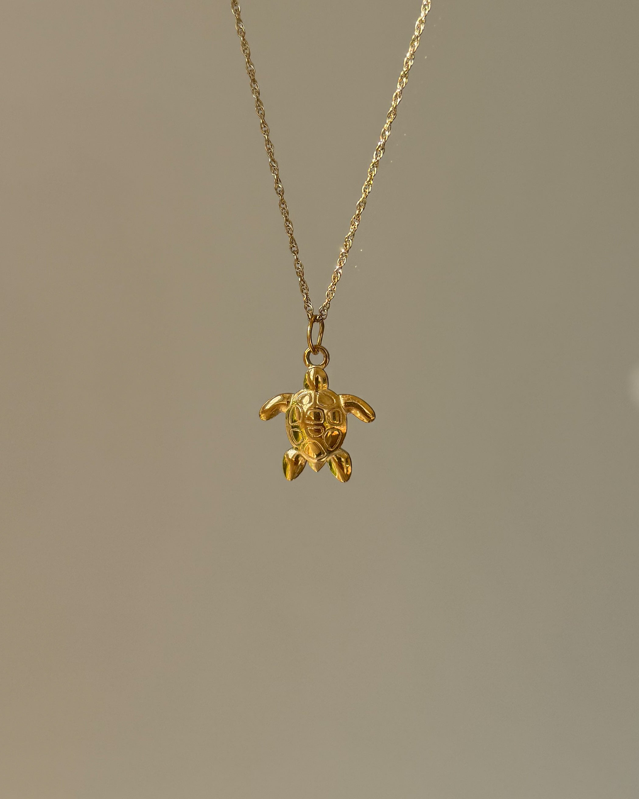 Charm Golden Turtle