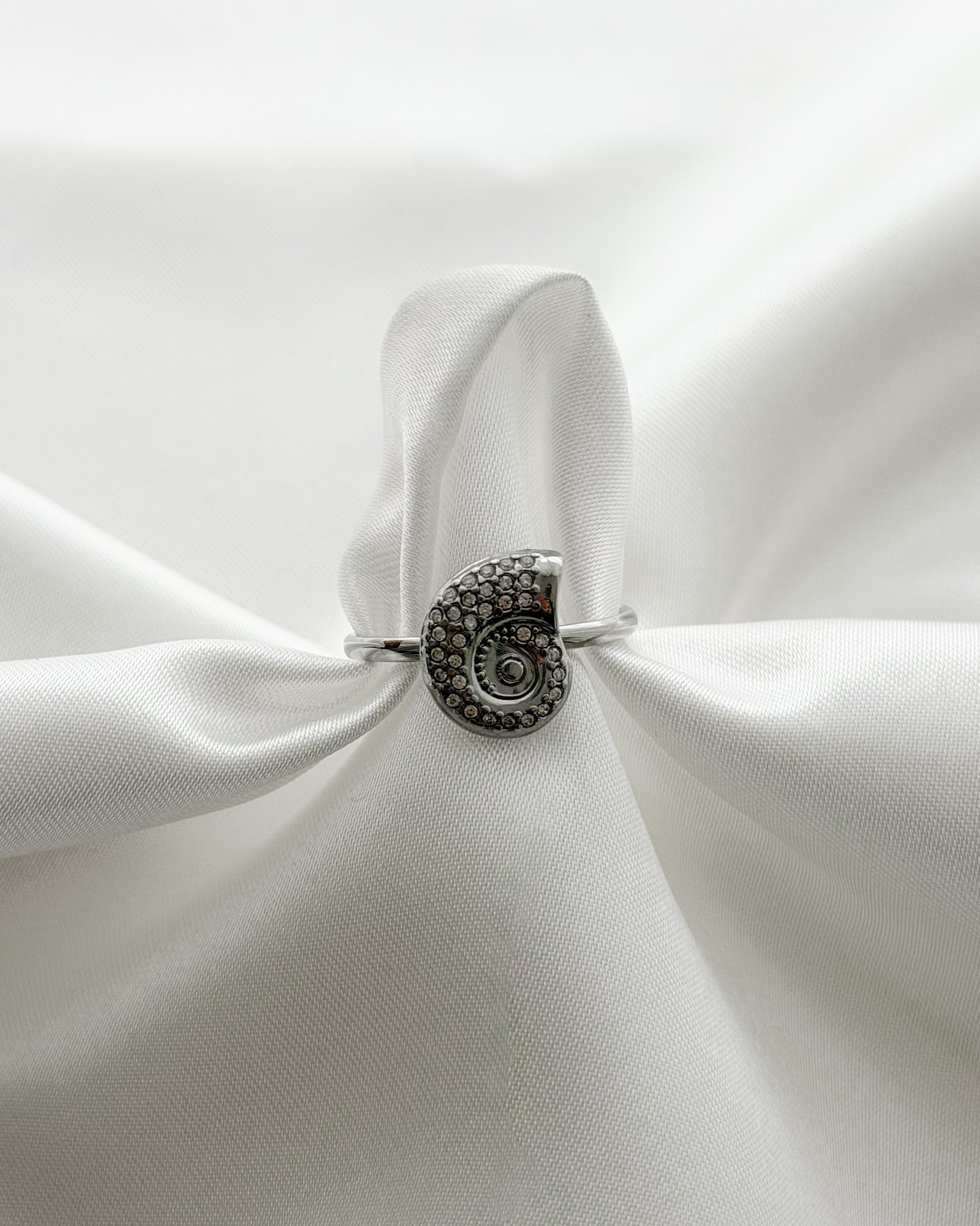 Ring Shell Swirl