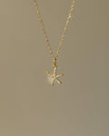 Charm Spark Starfish