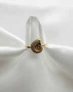 Ring Shell Swirl