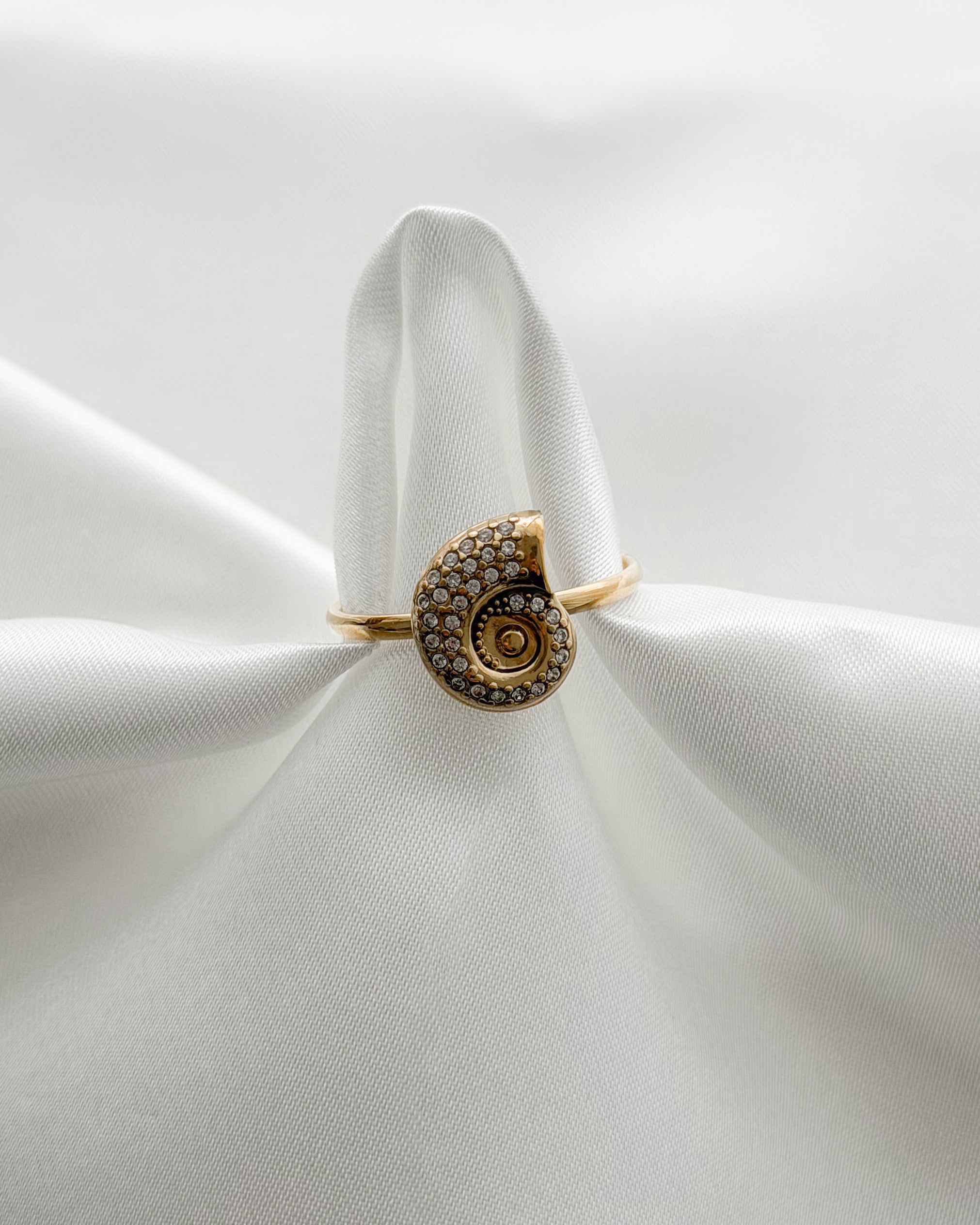 Ring Shell Swirl