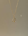 Charm Bicolor Clover