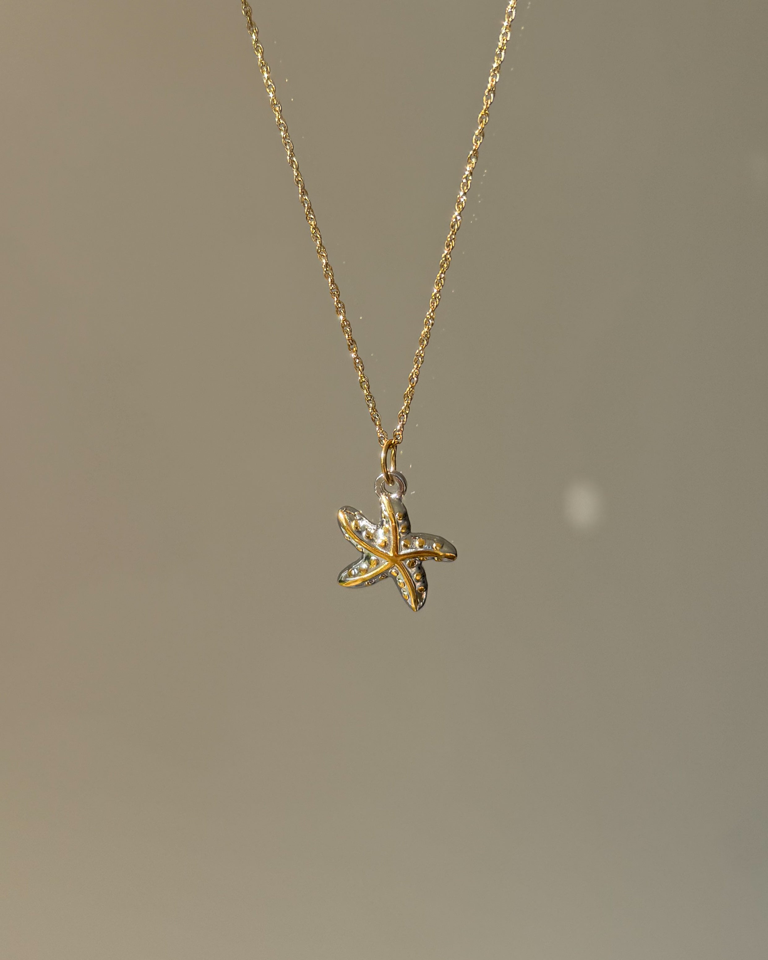 Charm Bicolor Ocean Star