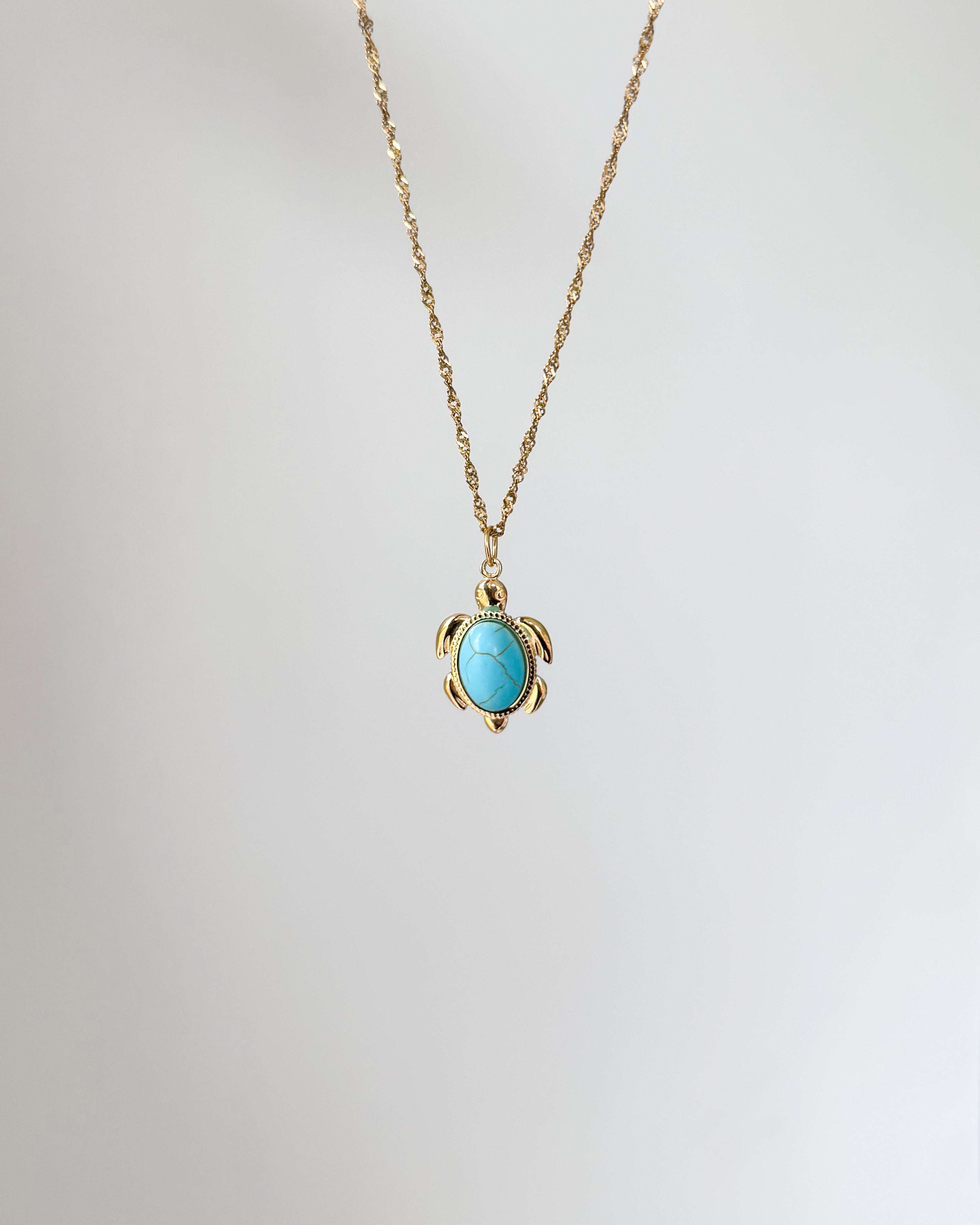 Charm Ocean Turtle