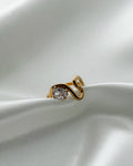Ring Fluid Crystal