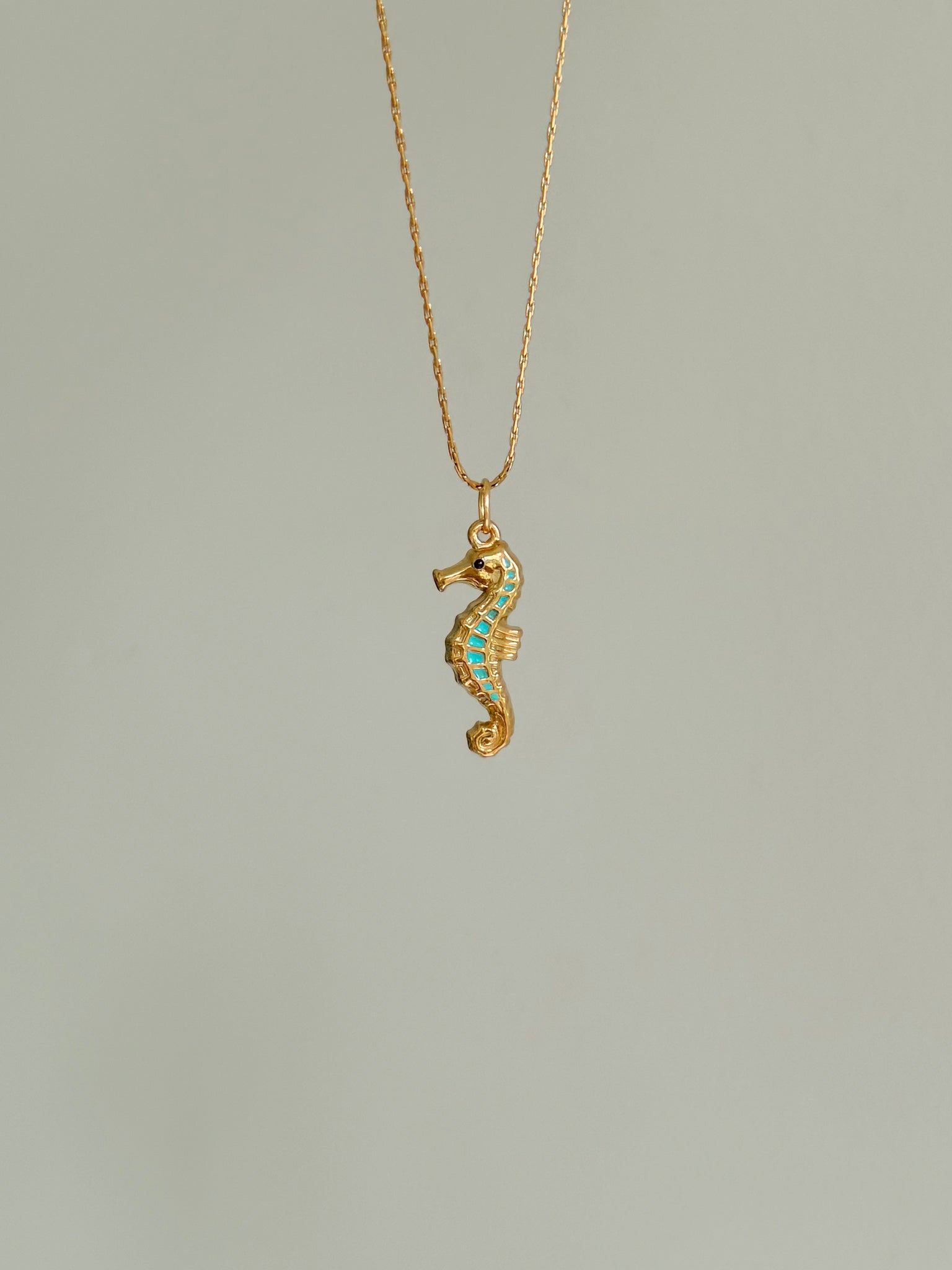 Charm Ocean Seahorse