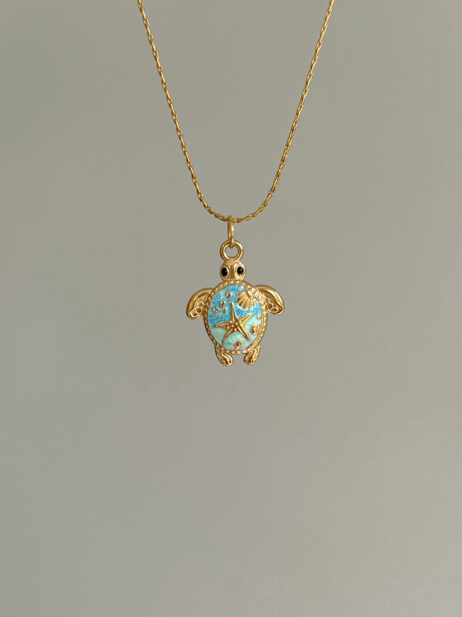 Charm Seaside Turtle