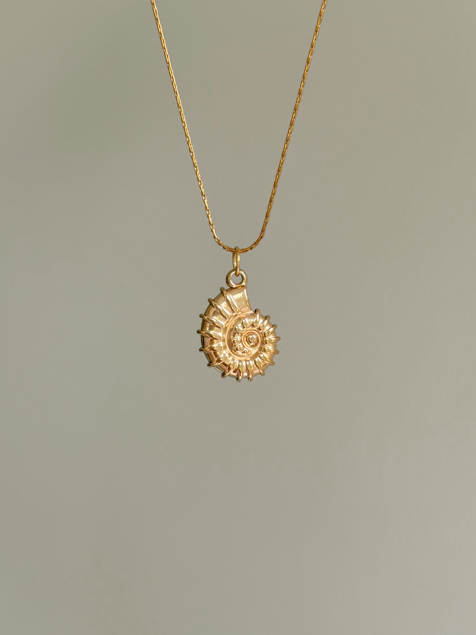 Charm Spiral Shell
