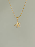 Charm Starfish