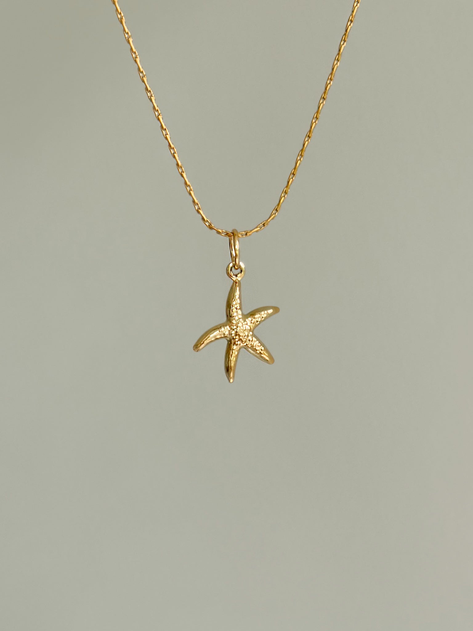 Charm Starfish