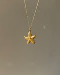 Charm Ocean Star