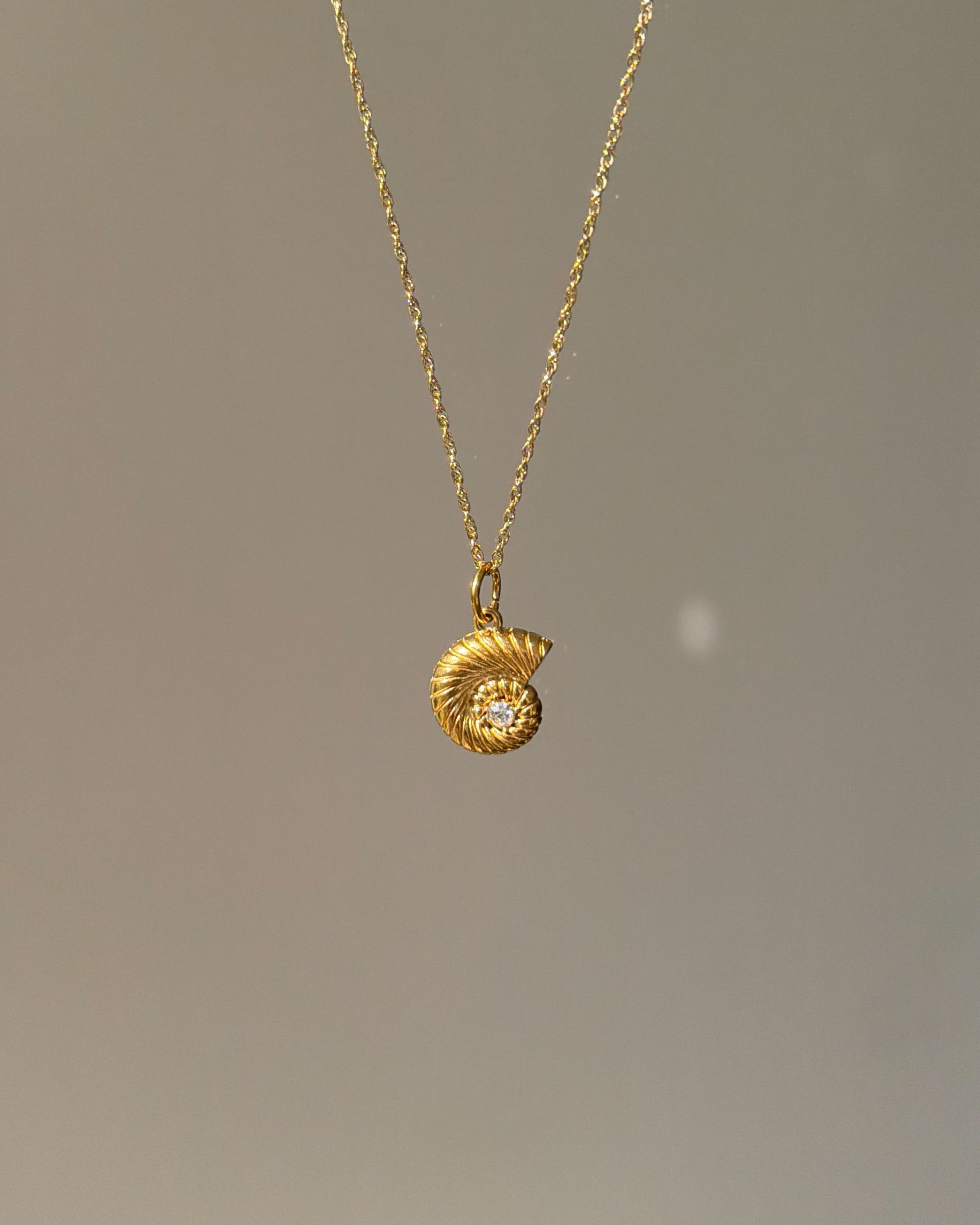 Charm Golden Spiral Shell