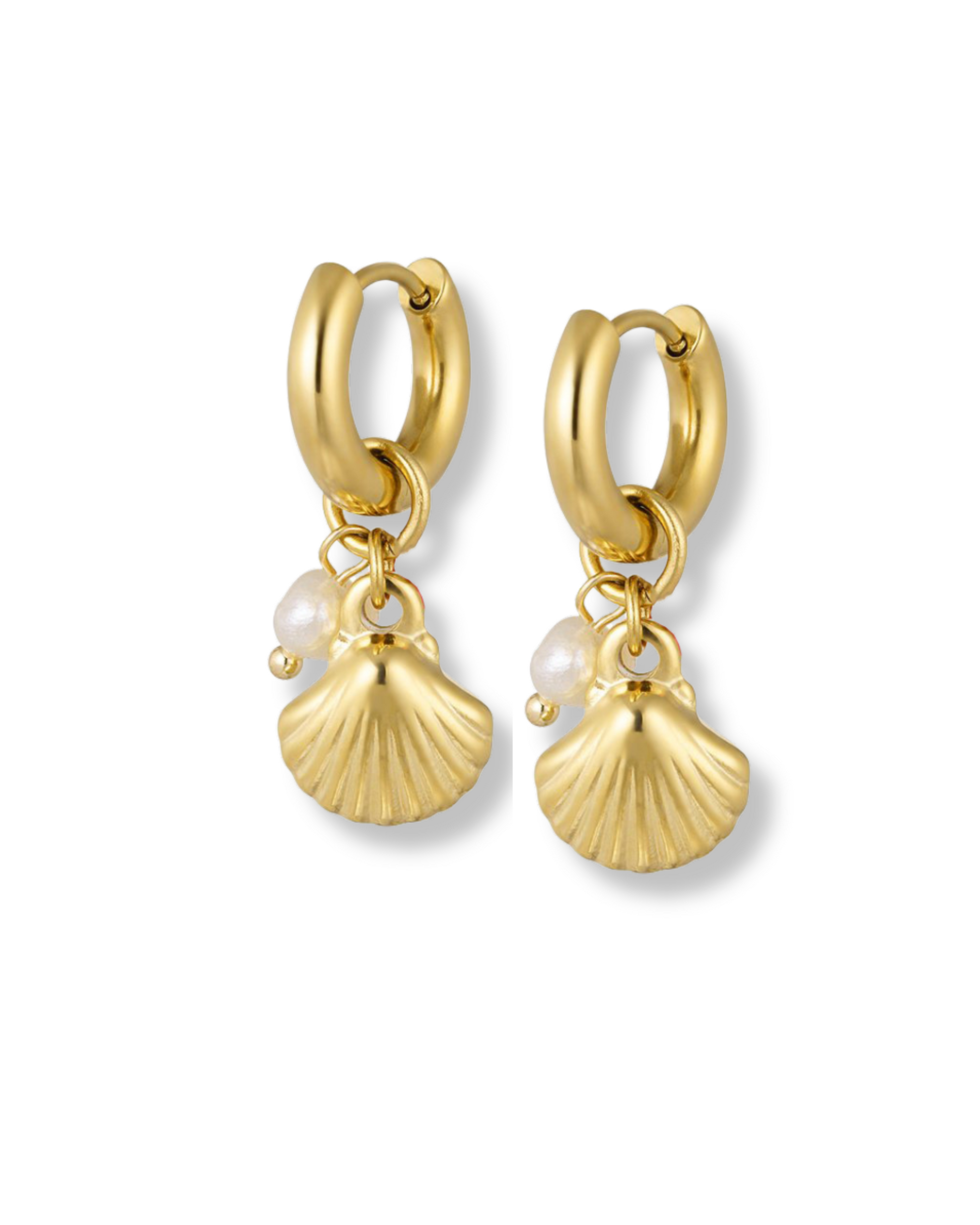 Ohrringe Shell & Pearl