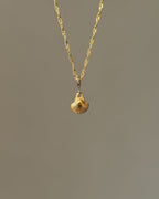 Charm Saltwater Shell