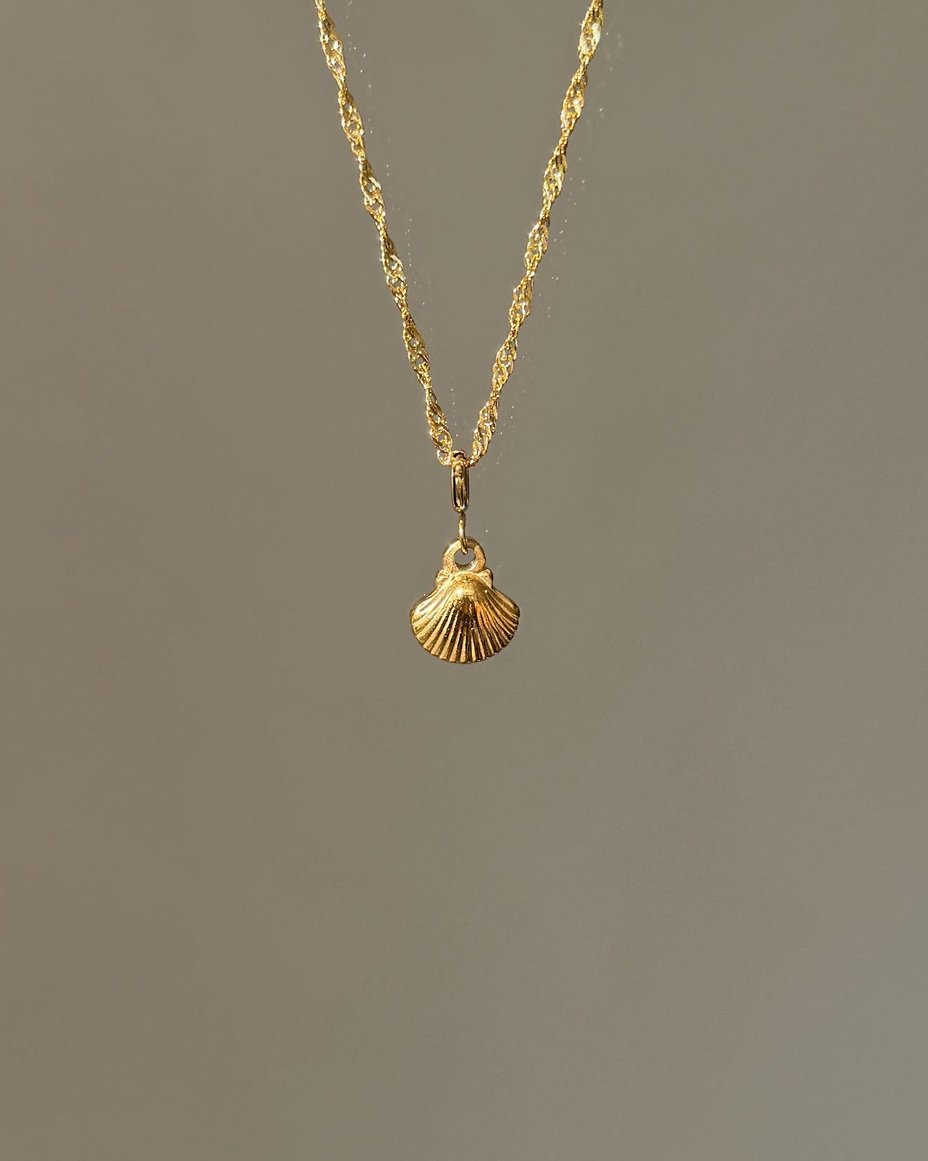 Charm Saltwater Shell