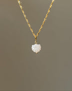 Charm Ocean Shell