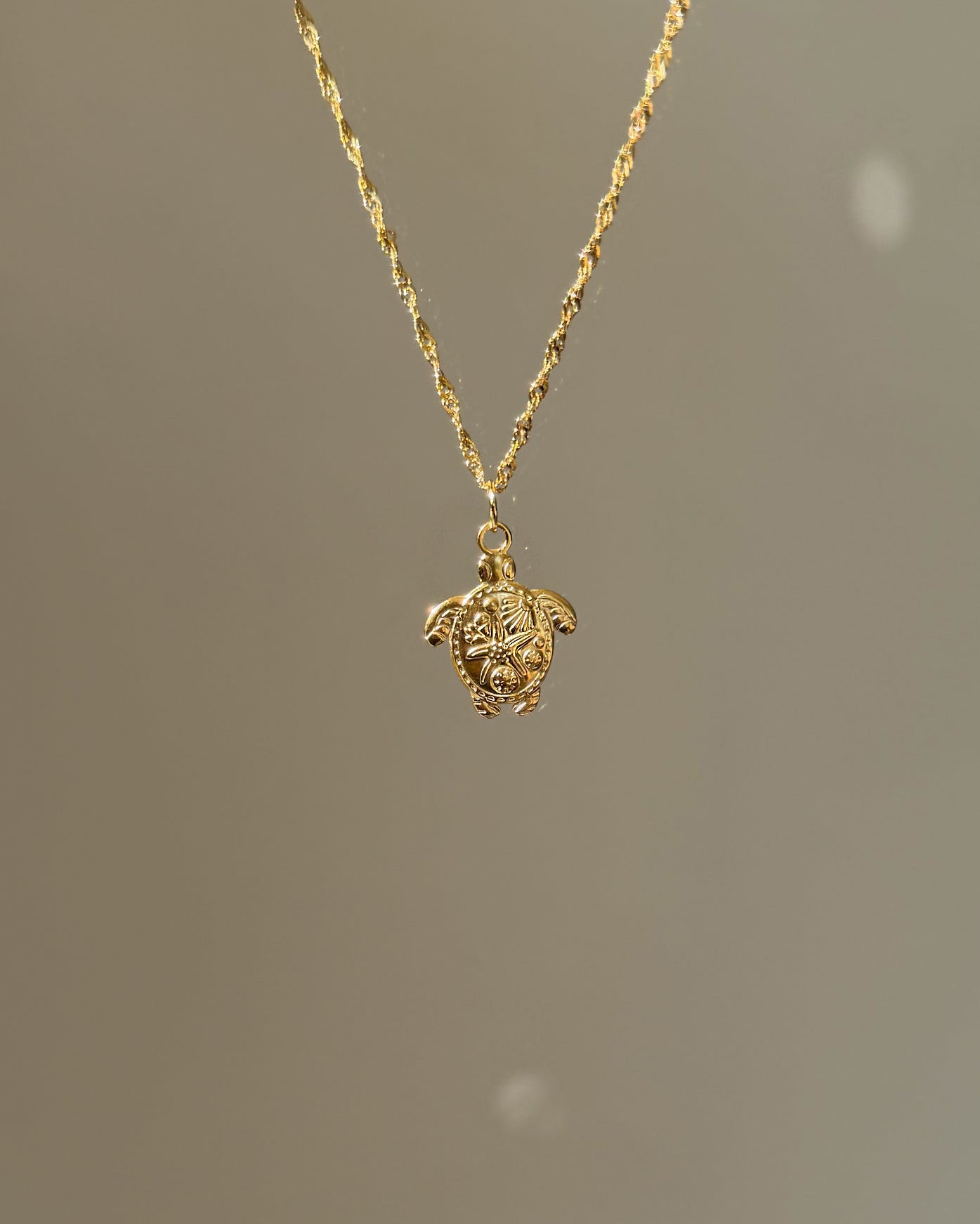 Charm Turtle Treasure