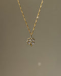 Charm Bicolor Clover