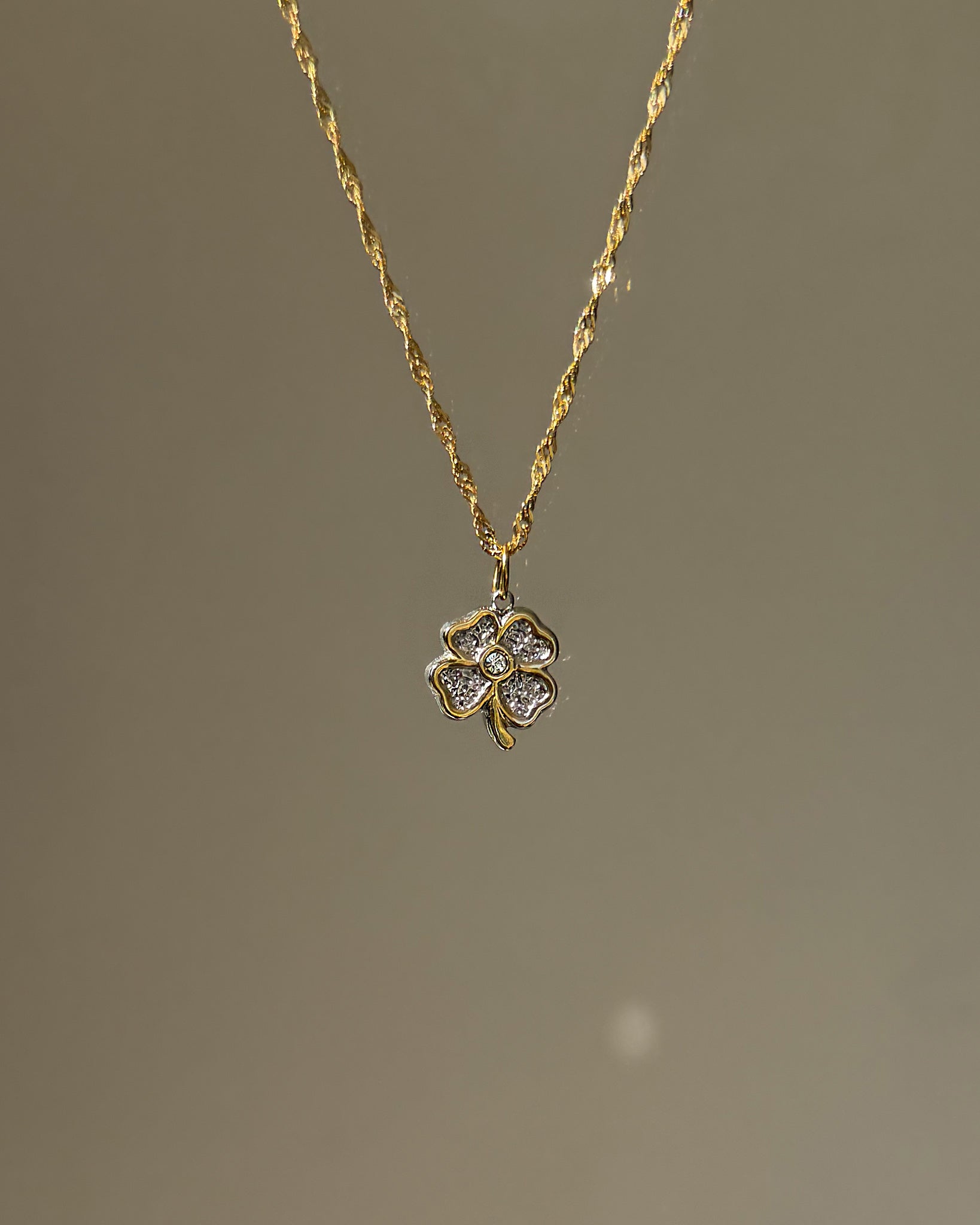 Charm Bicolor Clover