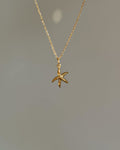 Charm Starfish