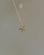 Charm Starfish