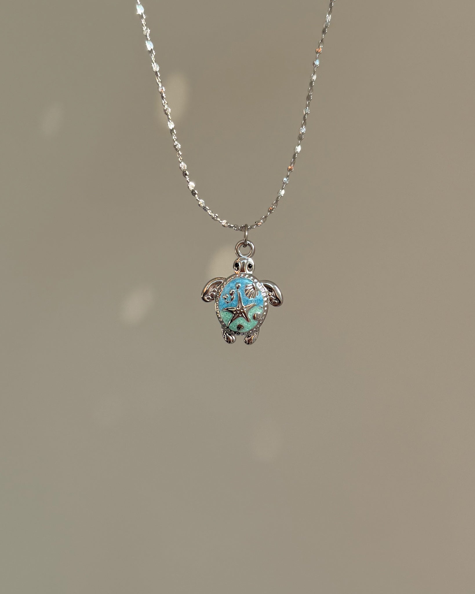 Charm Seaside Turtle