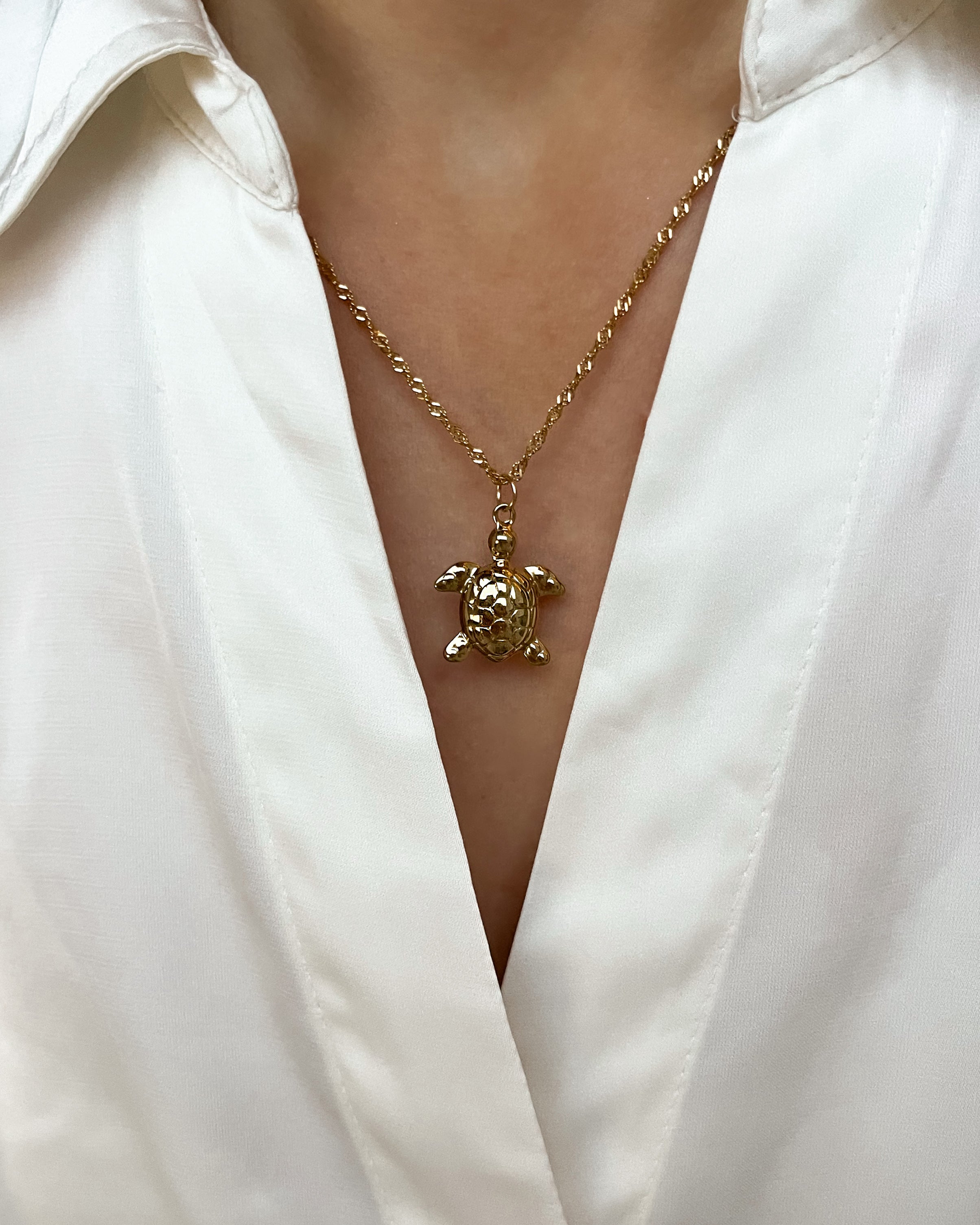 Charm Turtle
