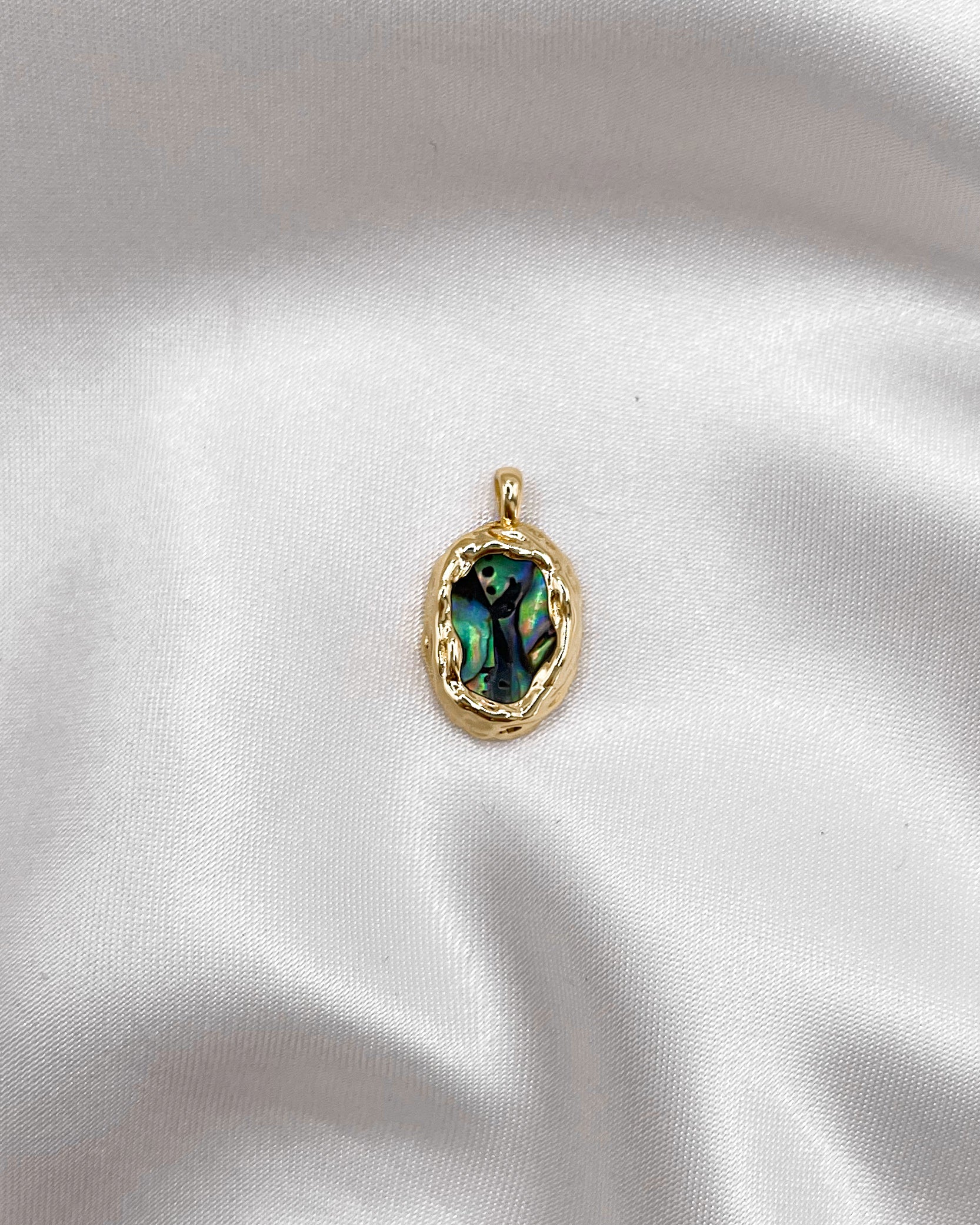 Charm Vintage Abalone Shell