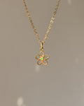 Charm Bloom Light