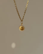 Charm Sun