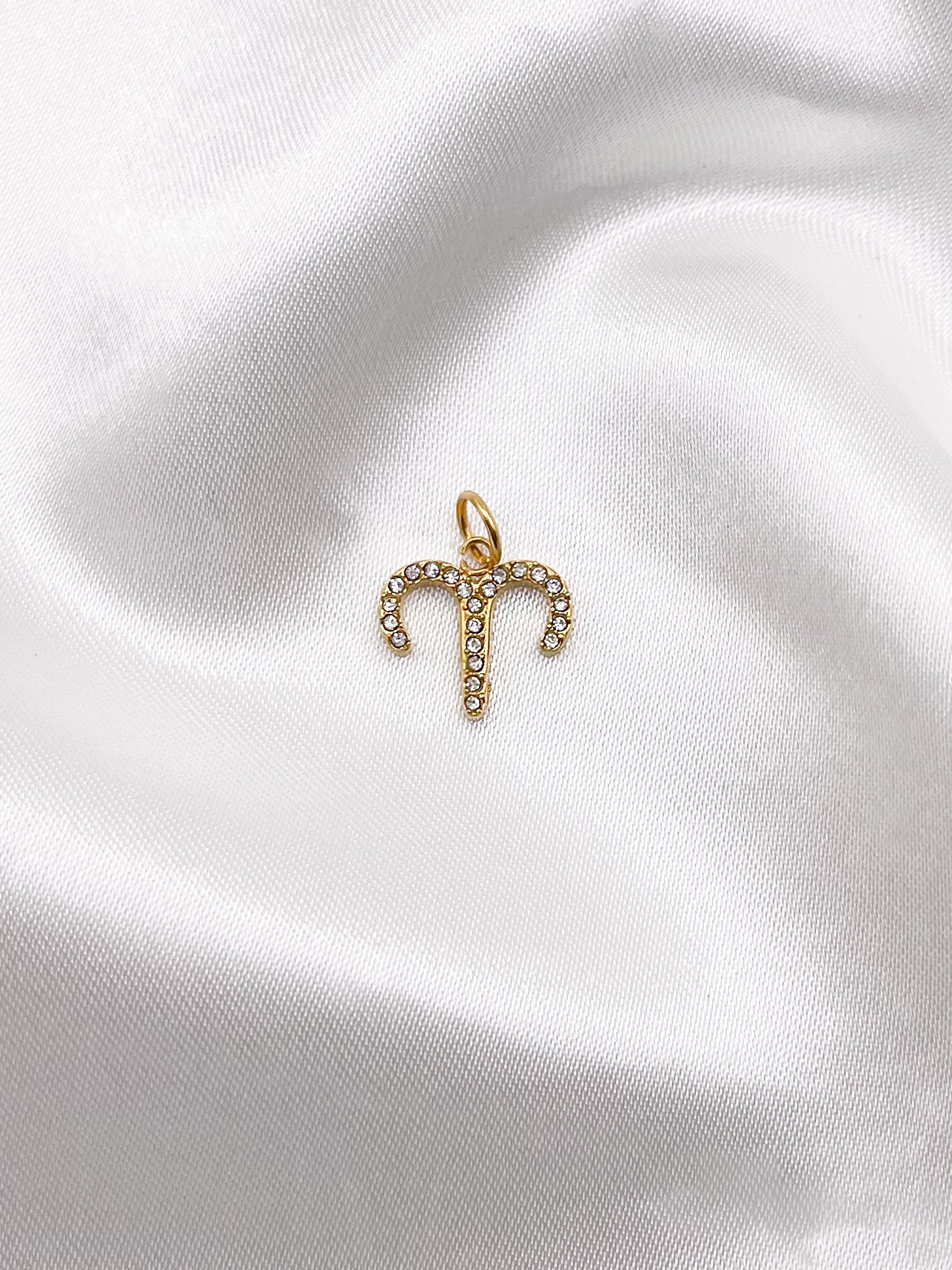 Charm Sparkle Zodiac