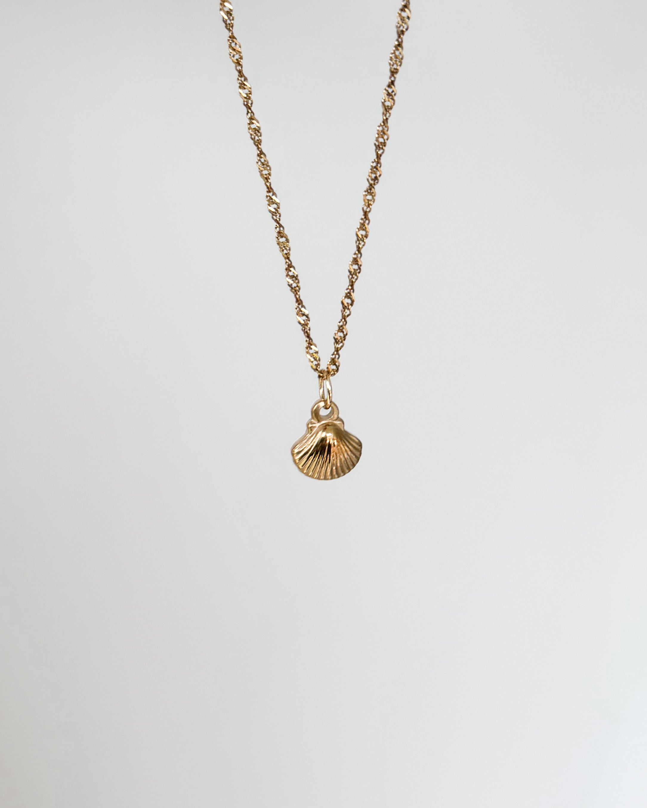 Charm Saltwater Shell