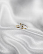 Ring Simple