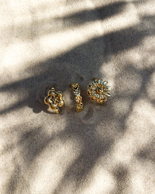 Ring Sun Flower