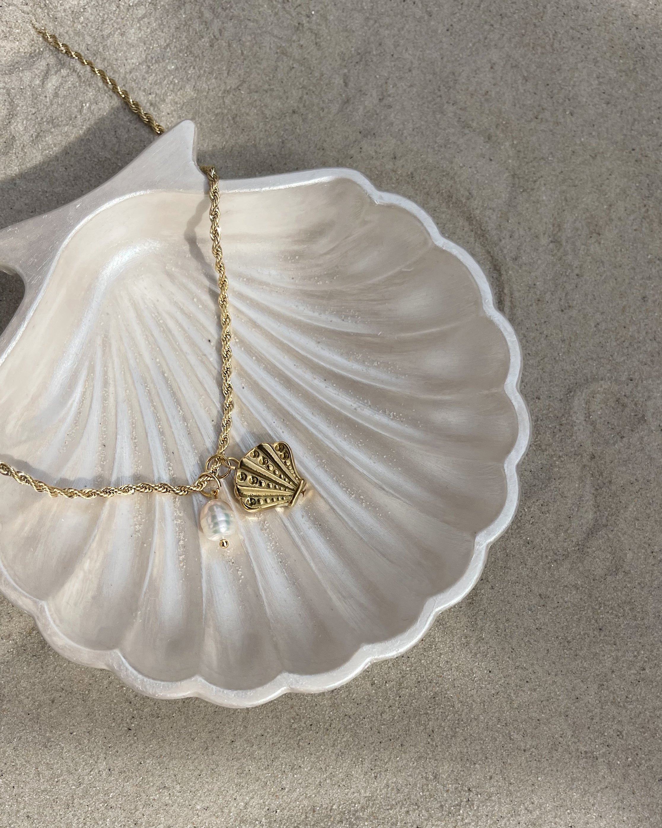 Charm Treasure Shell