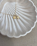 Charm Mini Shell