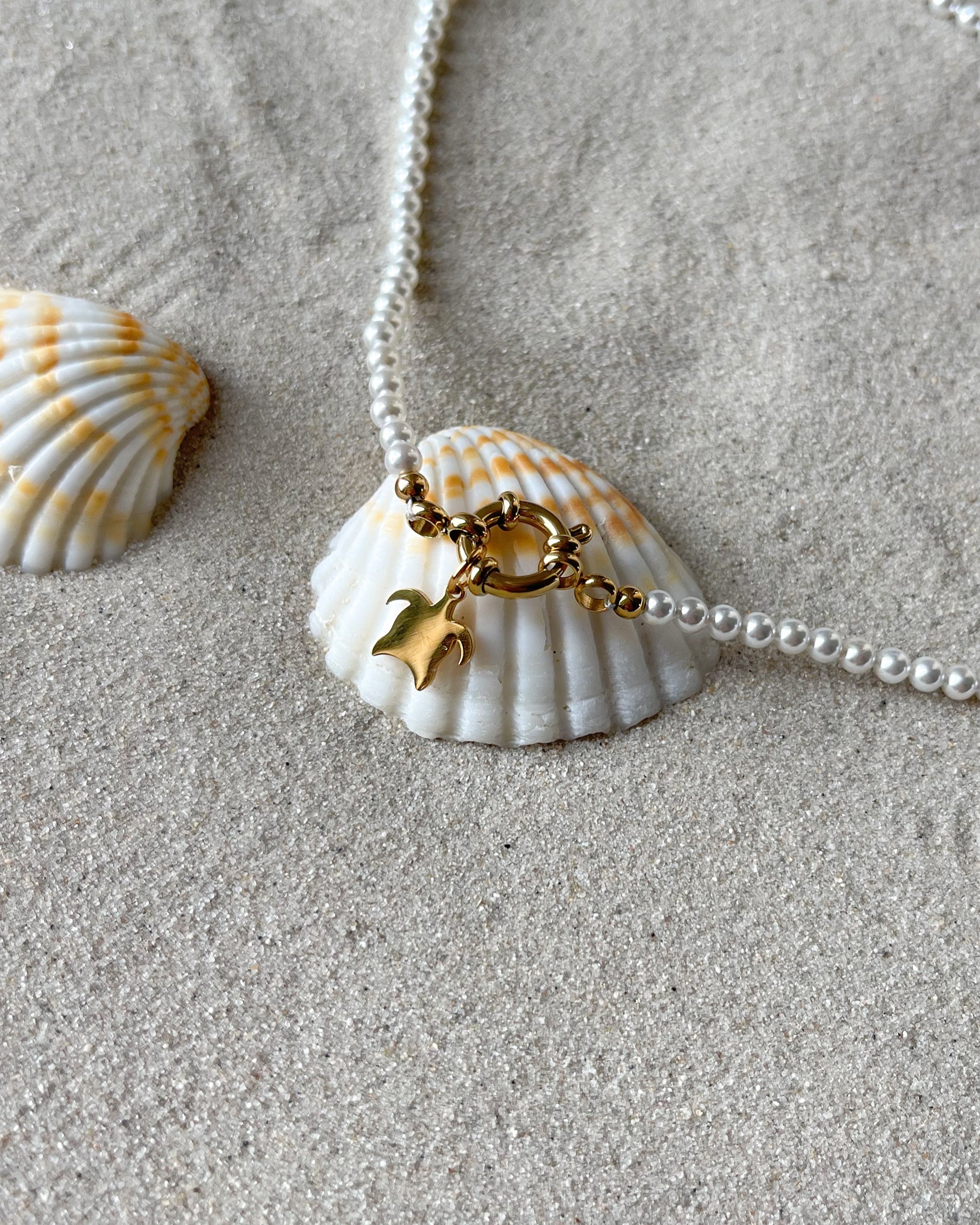 Charm Tiny Turtle