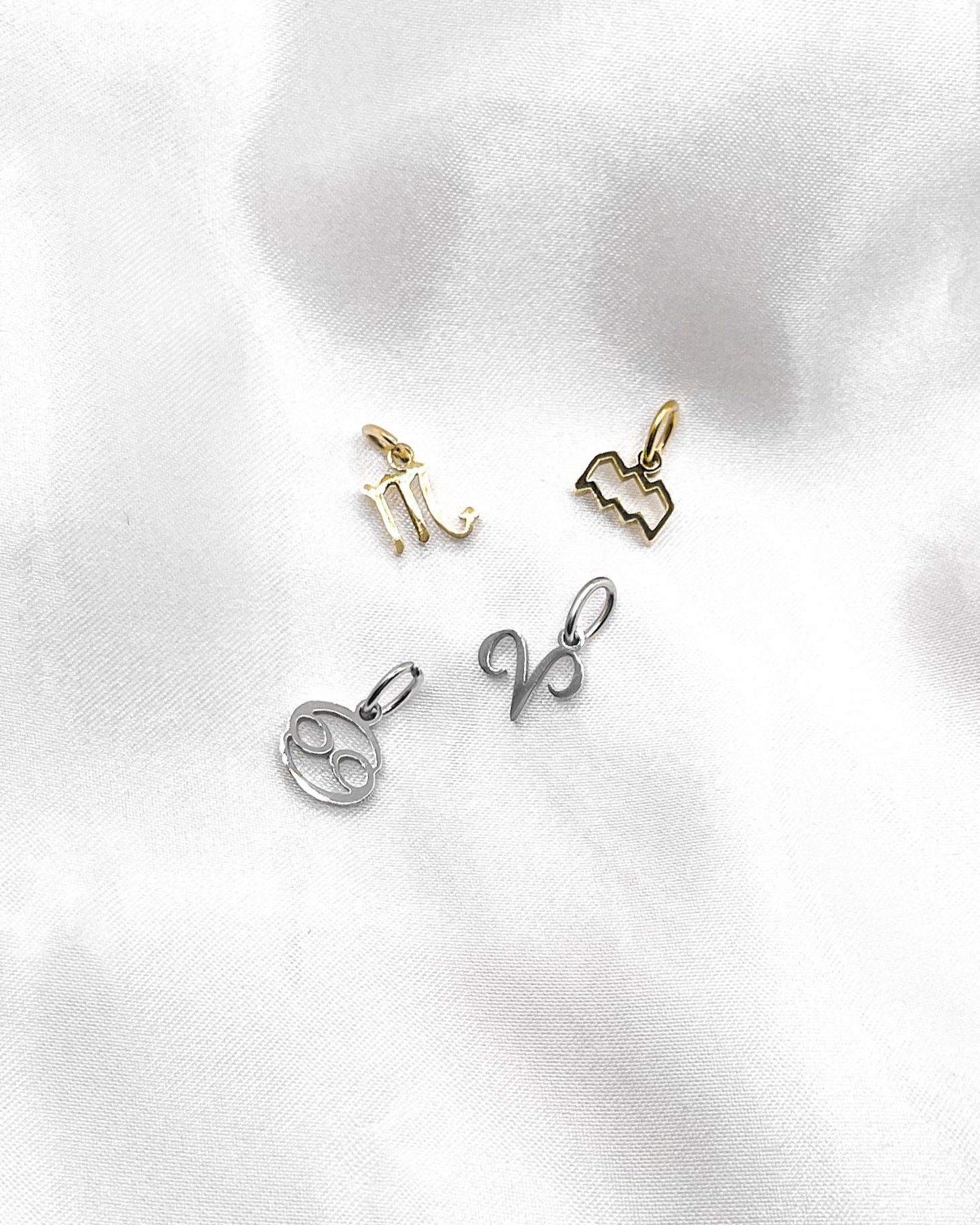 Charm Zodiac