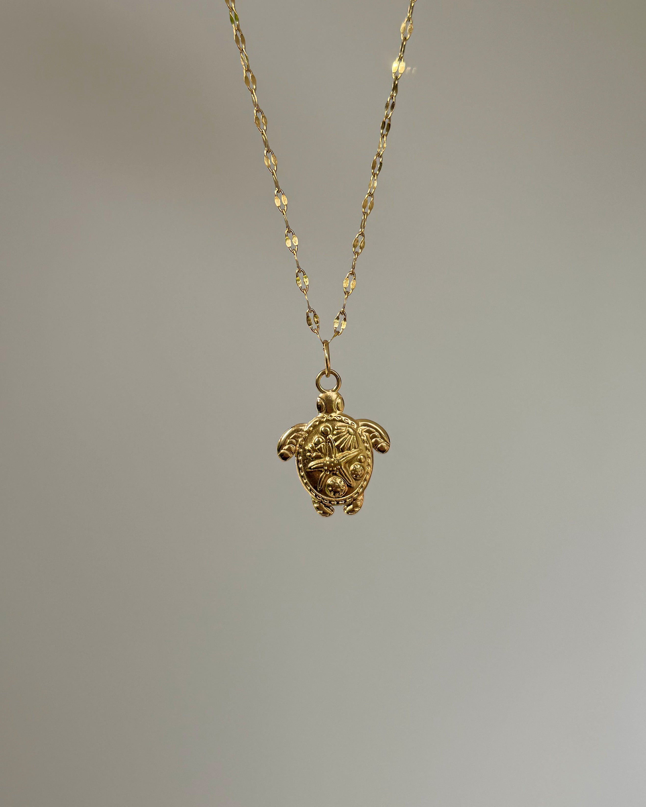 Charm Turtle Treasure