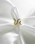 Ring Curvy Flow