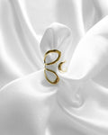 Ring Fluid Loop