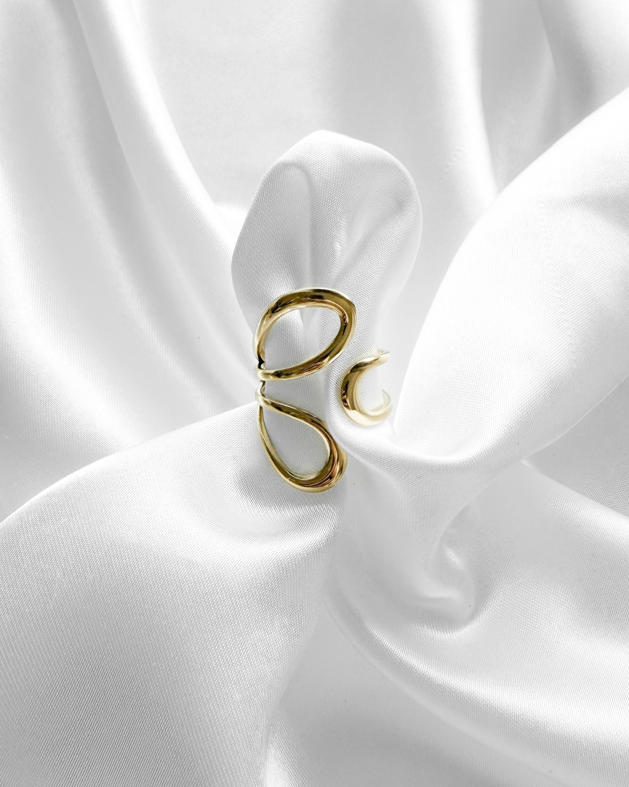 Ring Fluid Loop
