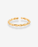 Ring Twist