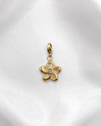 Charm Daisy Spark