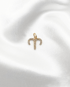 Charm Sparkle Zodiac