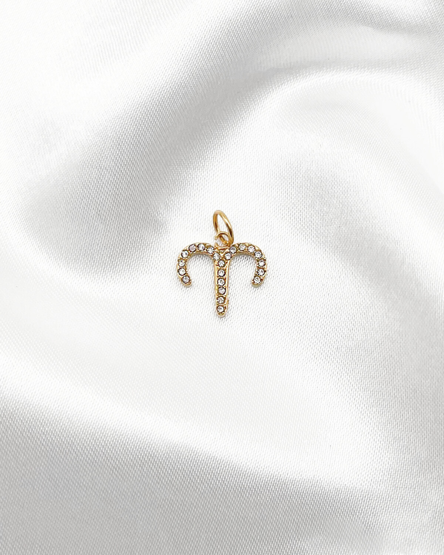 Charm Sparkle Zodiac