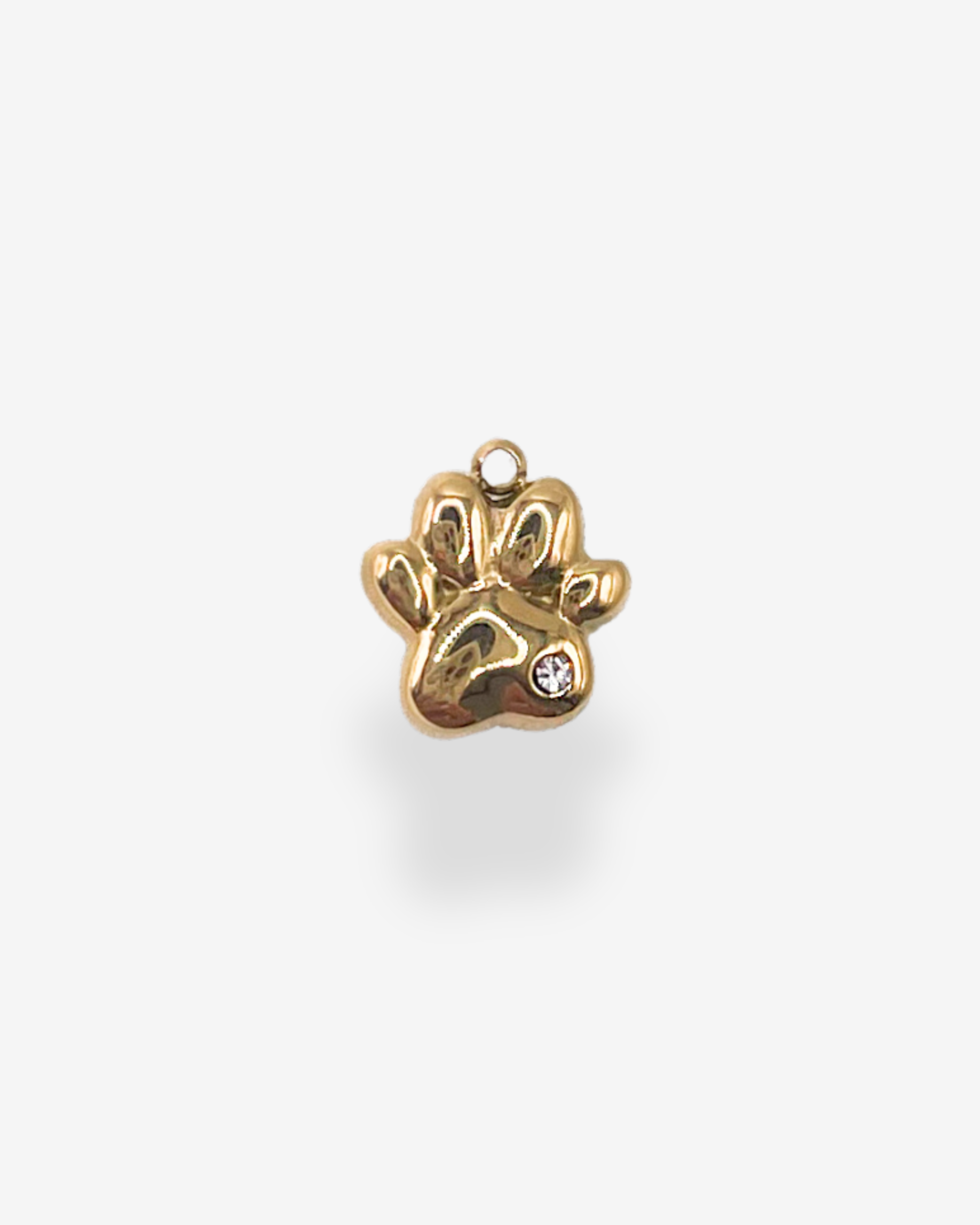 Charm Paw Love