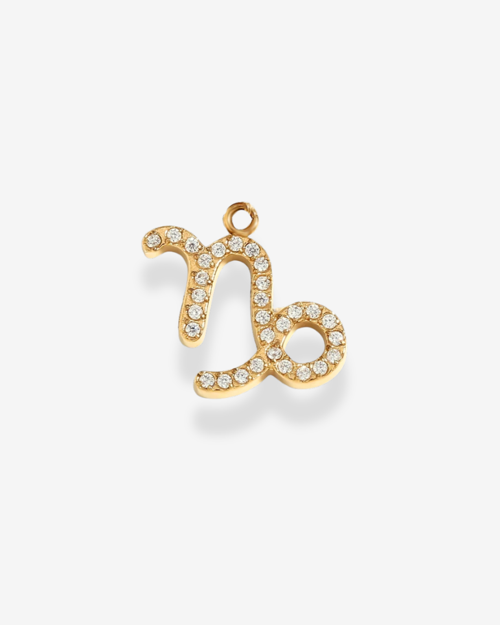 Charm Sparkle Zodiac