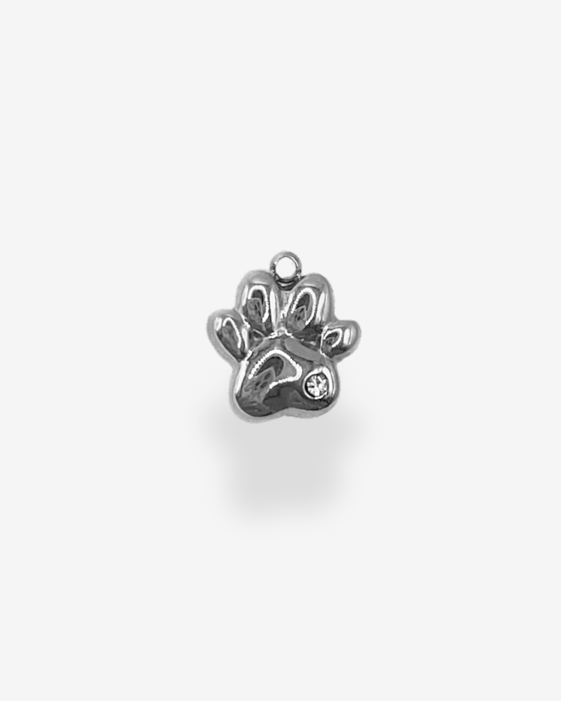 Charm Paw Love